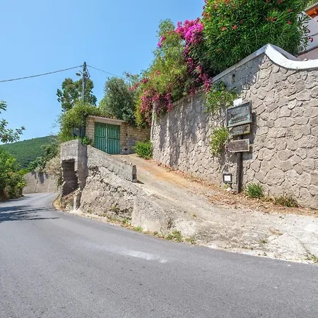Apartmán Eucalipto *